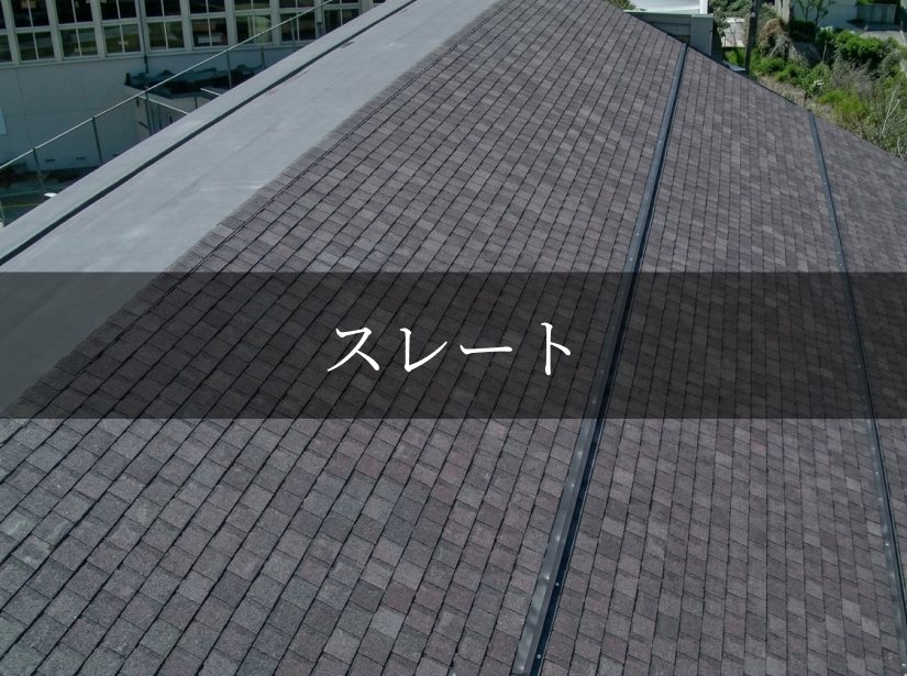 屋根の種類を紹介する画像パネル。建築デザインや素材のバリエーションを確認できる3枚目
